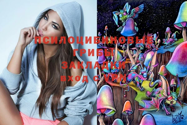индика Армянск