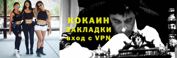 индика Армянск