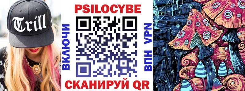 Псилоцибиновые грибы Psilocybe  гидра ссылка  Славск  купить  сайты 